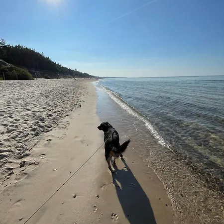 Σπίτι διακοπών Matris Charzyno
